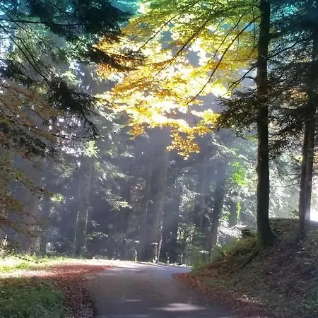 شاليه Mont Blanc