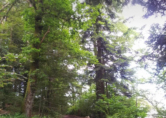 Domek alpejski Mont Blanc *