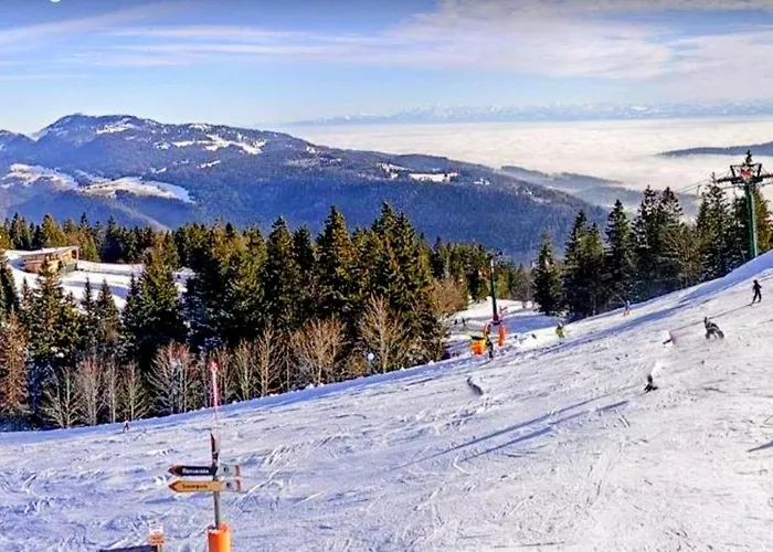 Domek alpejski Mont Blanc Grandevent