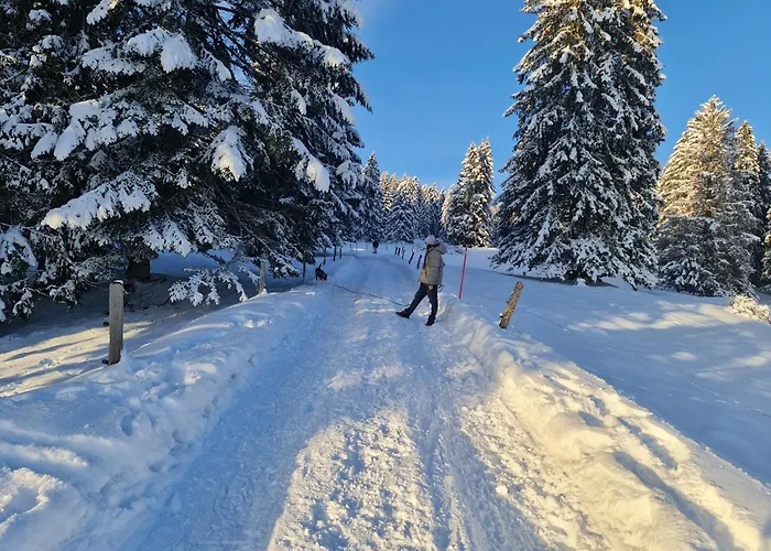 Mont Blanc Grandevent