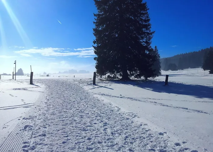 Mont Blanc * Grandevent